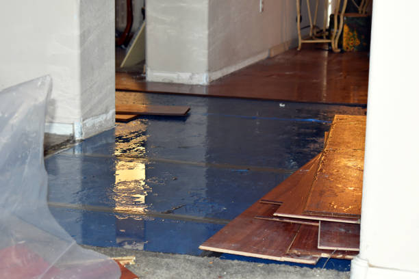 Professional Basement Flood Cleanup technician working in Machias, ME